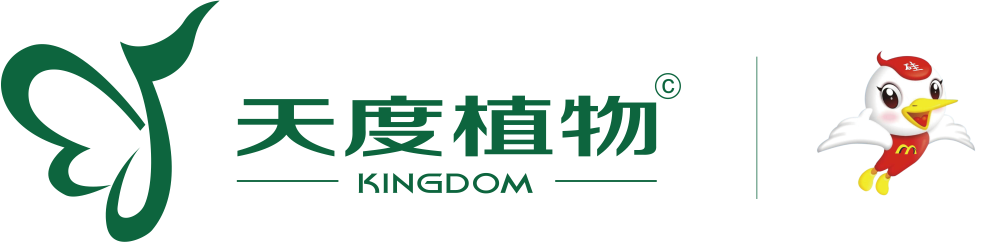 天度